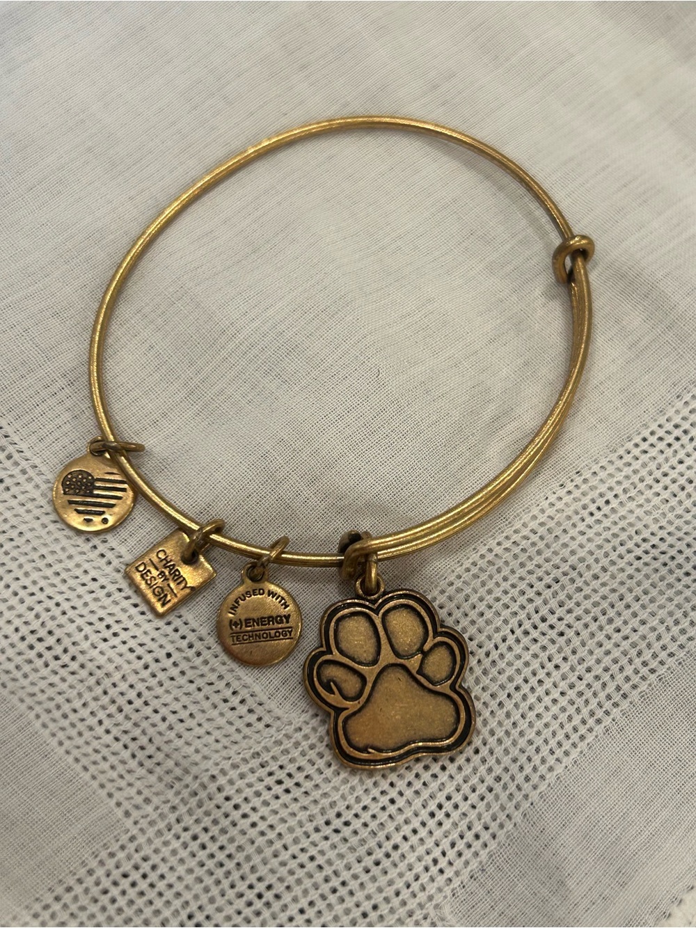Alex and Ani “Charity by Design” Paw Print Charm Bangle in Rafaelian Gold
